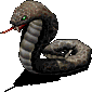 인도코브라