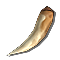 돌가시 뿔