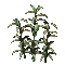 천궁